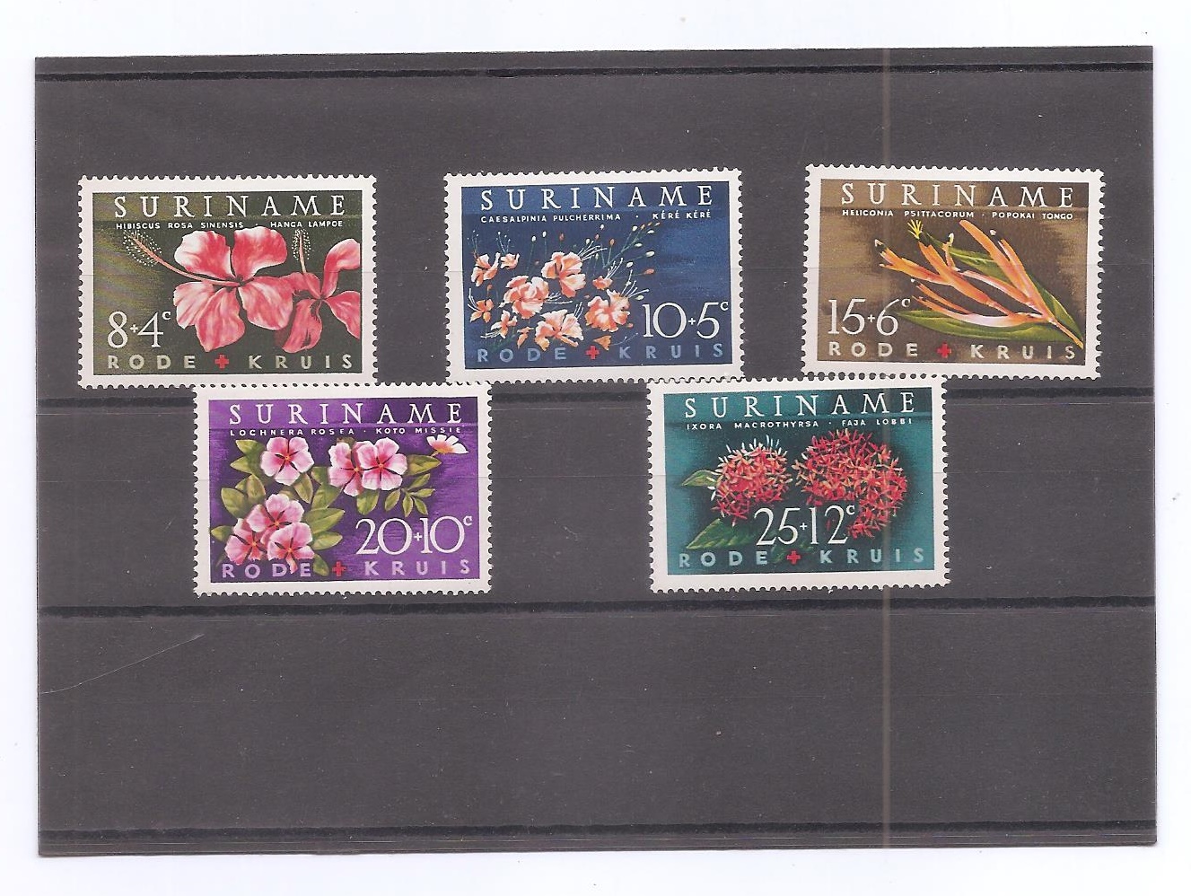 SURINAME DEL AÑO 1962 FLORES 